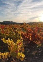 Jornada de Convivencia en La Rioja 2025