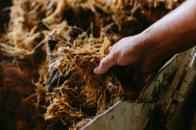 Curso de Plantas térmicas de Biomasa