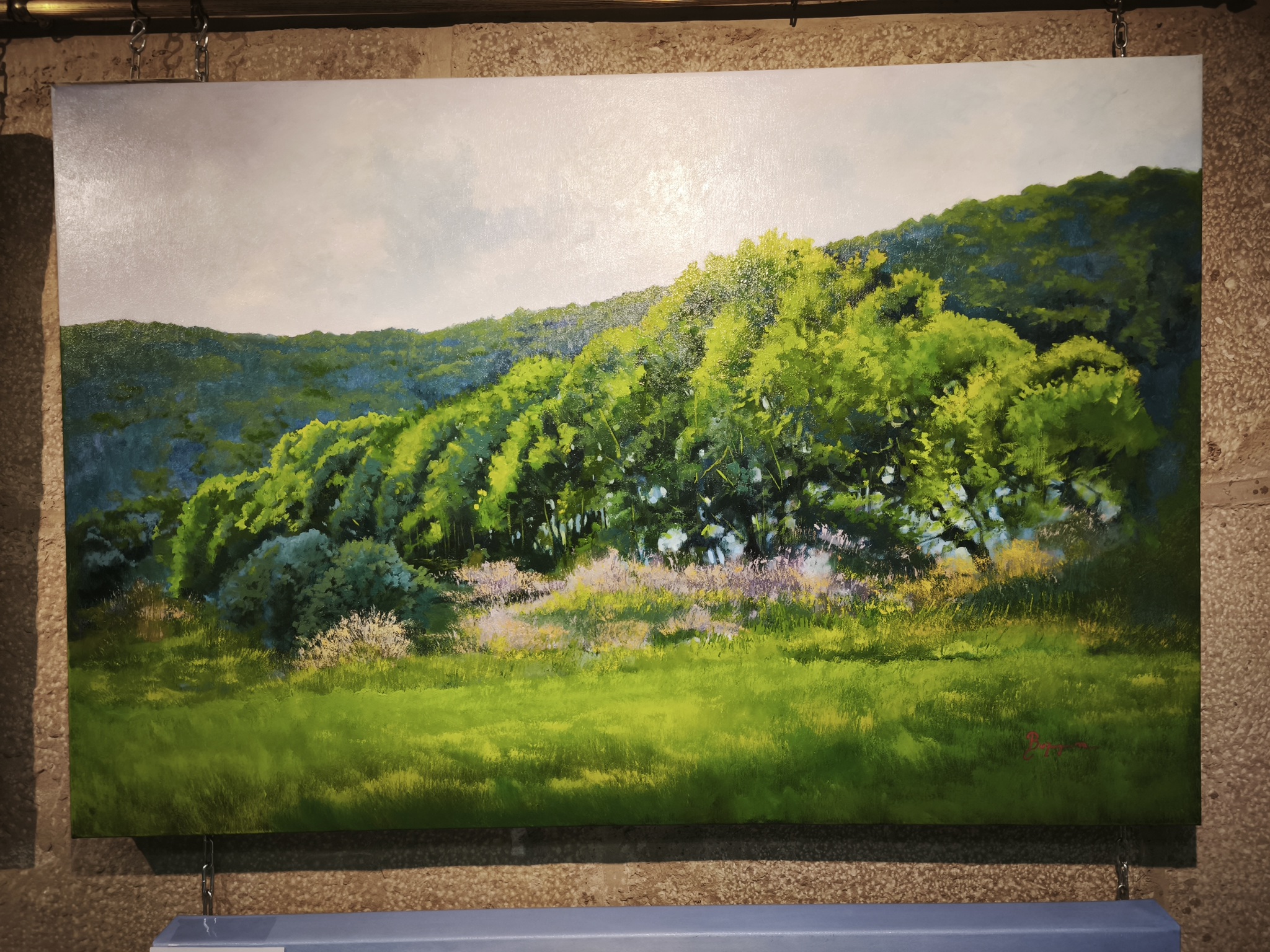 encina de cabrega peq