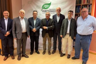 El Consejo de Ingeniería de Aragón llama a recuperar el perfil técnico en las administraciones públicas